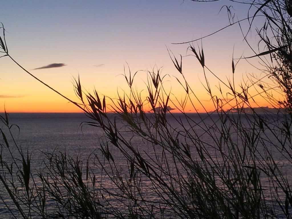 Agriturismo Gocce Di Luna Celle Ligure Pokoj fotografie