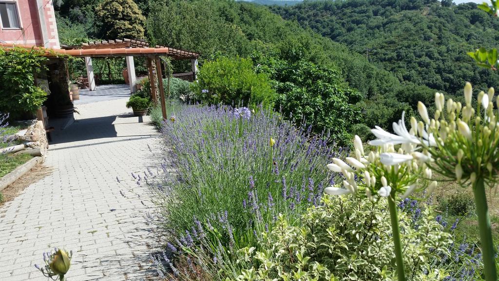 Agriturismo Gocce Di Luna Celle Ligure Exteriér fotografie