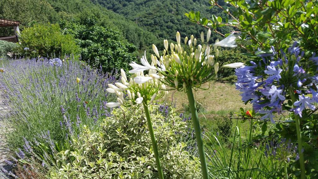 Agriturismo Gocce Di Luna Celle Ligure Exteriér fotografie