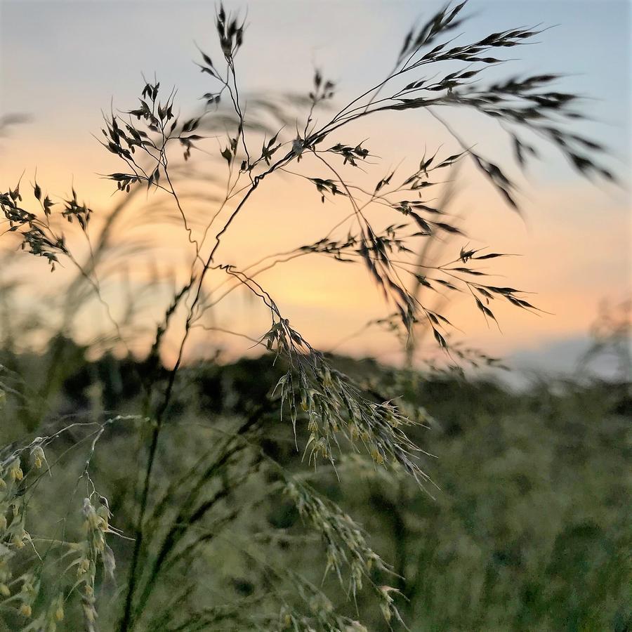 Agriturismo Gocce Di Luna Celle Ligure Exteriér fotografie