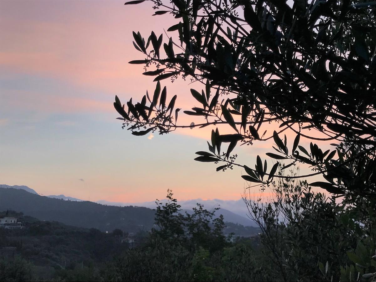 Agriturismo Gocce Di Luna Celle Ligure Exteriér fotografie